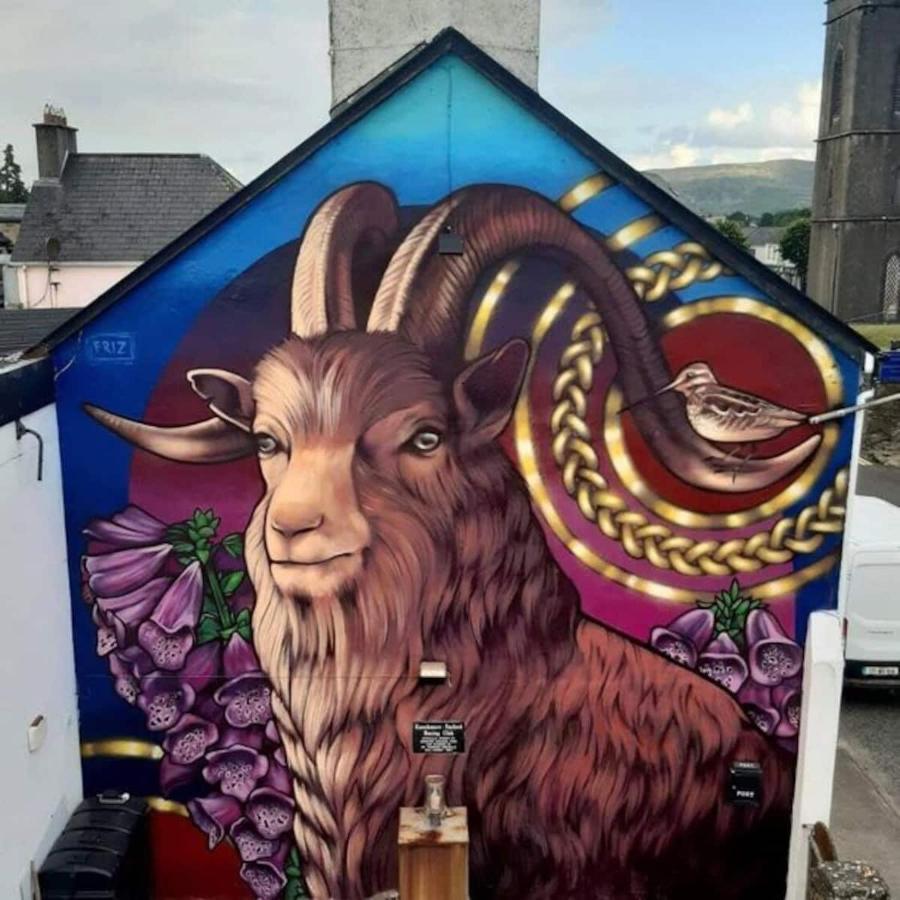 'Kealan' Luxury Double Room Foxford Exterior photo